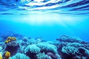 cena subaquática. oceano recife de coral debaixo d'água. mundo do mar sob fundo de água. foto