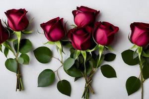 rosa. fundo rosa. buquê de rosas. conceito de dia dos namorados, casamento, ano novo, natal e outros feriados, pôster da web, cartão de felicitações. foto