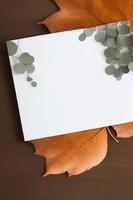 maquete para uma carta ou convite de casamento com galhos e folhas. luz natural e cobertura de sombra. foto