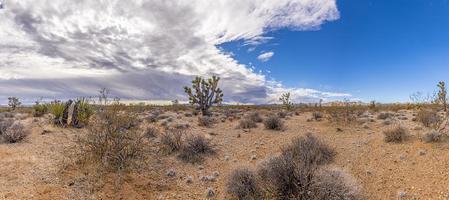 imagem panorâmica sobre o deserto do sul da Califórnia durante o dia foto