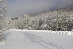 lindo dia nas montanhas norueguesas com floresta coberta pela neve perto de hemsedal, impressão para design de capa, papel de parede, tela, brochura foto