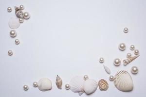 conchas do mar e pérolas no fundo branco, com espaço livre para texto. foto