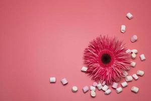 flor e marshmallows no fundo rosa, com espaço livre para texto. foto