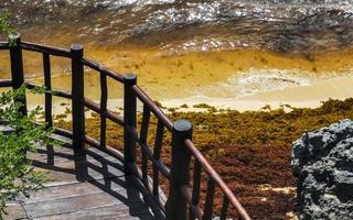 natural marinha panorama vista tulum ruínas maia local templo méxico. foto