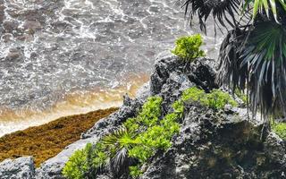 natural marinha panorama vista tulum ruínas maia local templo méxico. foto