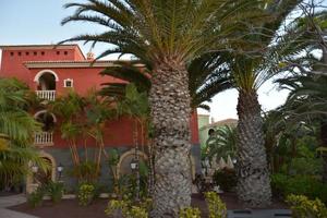 bela vista para o jardim tropical do resort da ilha com palmeiras, flores em fuerteventura, ilhas canárias, espanha, europa. foto