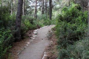 estrada para pedestres em um parque da cidade no norte de israel. foto