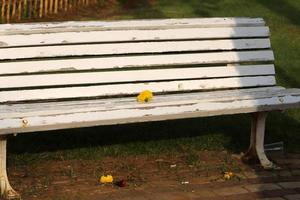 banco para descansar no parque da cidade à beira-mar. foto