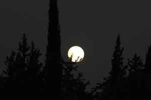 lua e nuvens no céu sobre o mar foto