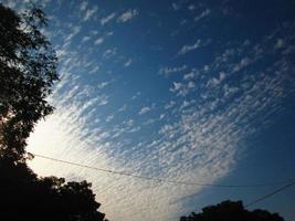 céu azul e silhueta de árvores durante o dia em karachi paquistão 2022 foto