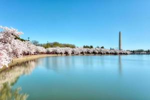 monumento de washington em washington dc, eua foto