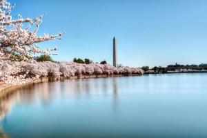 monumento de washington em washington dc, eua foto