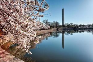 monumento de washington em washington dc, eua foto