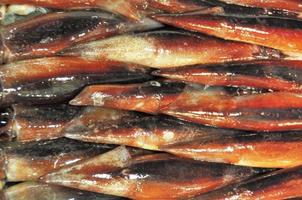 mercado de peixes de tóquio tsukiji foto