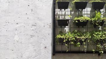 jardim vertical no fundo de textura de parede de tijolo branco foto