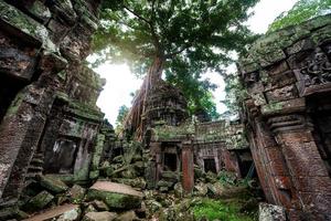 ruínas do templo ta prohm escondidas nas selvas, siem riep, camboja foto