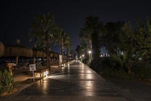 diminuição da perspectiva da trilha em meio a palmeiras na praia durante a noite foto