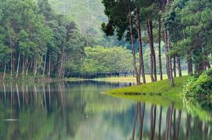 paisagem natural na manhã de lagos e florestas de pinheiros foto