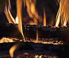 fogo em lenha de madeira, queima, fogo, brasas, no fogão, o conceito de aquecimento de madeira, árvores queimadas após a poluição por incêndios florestais e muitas chamas de fogo de fumaça