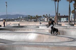 vista traseira do homem com skate e cachorro correndo na rampa do skatepark foto