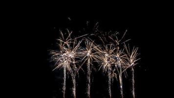 fogos de artifício sobre o mar à noite foto