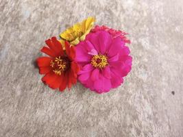 flores coloridas estéticas em fundo de textura de madeira foto