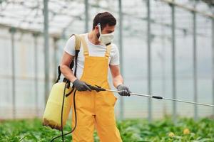 jovem trabalhador de estufa em uniforme amarelo e máscara protetora branca regando plantas usando equipamento especial dentro da estufa foto