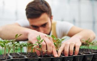 cuidando das plantas no estande preto. jovem trabalhador de estufa em uniforme amarelo tem trabalho dentro da estufa foto