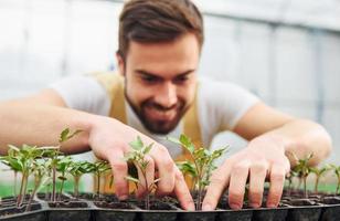 cuidando das plantas no estande preto. jovem trabalhador de estufa em uniforme amarelo tem trabalho dentro da estufa foto