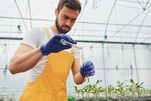 segura o tubo de ensaio com água. jovem trabalhador de estufa em uniforme amarelo tem trabalho dentro da estufa foto