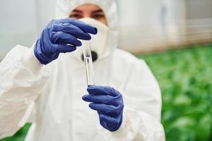 jovem trabalhadora de estufa em uniforme protetor branco completo trabalhando usando tubos de ensaio dentro da estufa foto