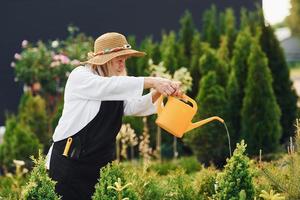 usando um regador de cor amarela. mulher sênior está no jardim durante o dia. concepção de plantas e estações foto