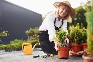 trabalhando com plantas em vasos. mulher sênior está no jardim durante o dia. concepção de plantas e estações foto