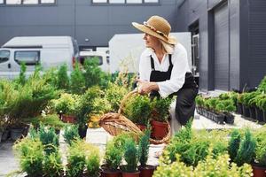 cesta de madeira nas mãos. mulher sênior está no jardim durante o dia. concepção de plantas e estações foto