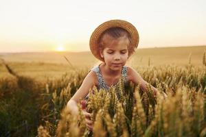 menina de pé no campo agrícola ao entardecer. concepção de tempo livre de verão foto