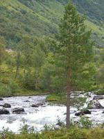 belos fiordes da noruega foto