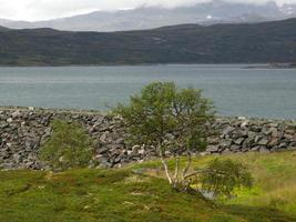 os fiordes da noruega foto