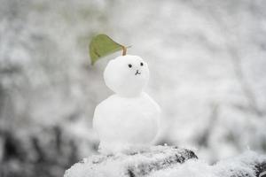 um boneco de neve com uma paisagem de neve foto