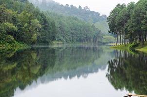 paisagem natural na manhã de lagos e florestas de pinheiros foto