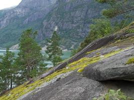 os fiordes da noruega foto