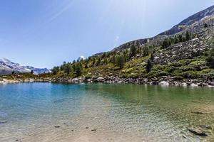 natureza incrível da suíça nos alpes suíços - fotografia de viagem foto