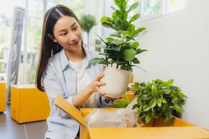 mulher asiática verifica e embala planta pequena, vendendo árvore purificadora de ar verde