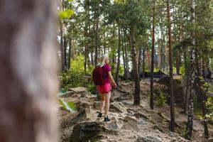 mulher elegante hipster com mochila olhando incríveis bosques e montanhas no verão, conceito de viagem, espaço para texto