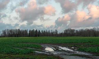 paisagens naturais de outono na letônia foto