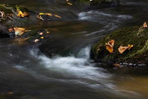 rio pequeno da floresta com pedras foto
