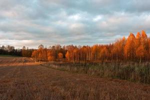 paisagens naturais de outono na letônia foto