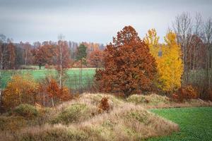 paisagens naturais de outono na letônia foto