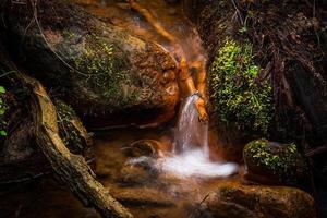 um pequeno riacho na floresta com falésias de arenito e pedras foto