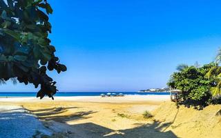 palmeiras guarda-sóis espreguiçadeiras balneário zicatela puerto escondido méxico. foto