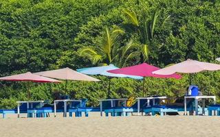 palmeiras guarda-sóis espreguiçadeiras balneário zicatela puerto escondido méxico. foto